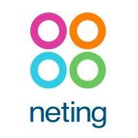 neting logo image