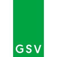 greensky ventures logo image