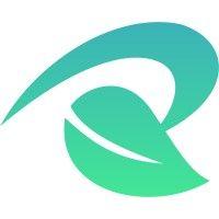 roughmint consulting logo image