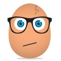 sassy egg inc logo image