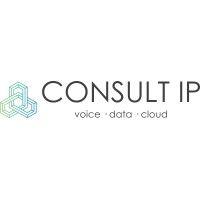 consult ip logo image