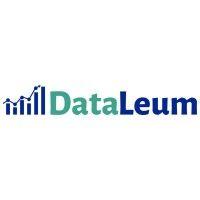 dataleum logo image