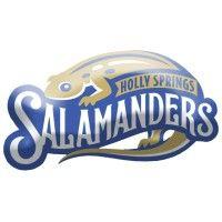 holly springs salamanders