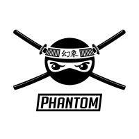 phantom firm logo image