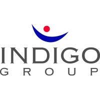 indigo group llc logo image