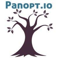 panopt.io logo image