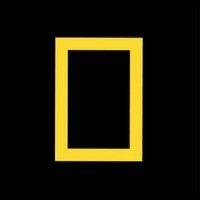 national geographic channel - india logo image