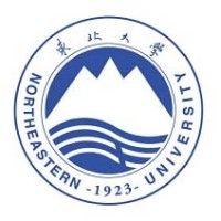 northeastern university (cn) logo image