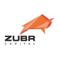 zubr capital investment company