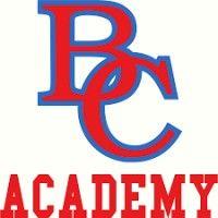 bay city academy logo image