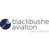 blackbushe aviation logo image