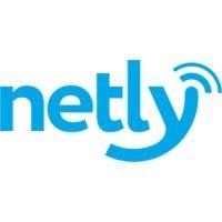 netly fiber logo image