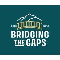 bridging the gaps, inc. logo image