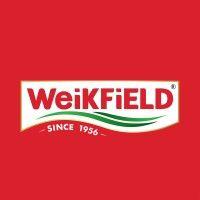 weikfield foods pvt ltd logo image