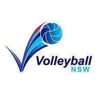 volleyball new south wales - vnsw logo image