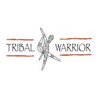 tribal warrior aboriginal corporation logo image