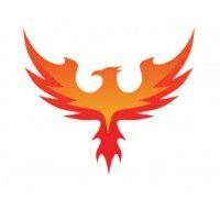 digital phoenix logo image