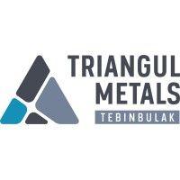 triangul metals tebinbulak logo image