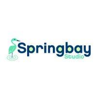 springbay studio logo image