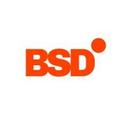 logo of Bsd Associates