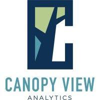 canopy view analytics, llc logo image