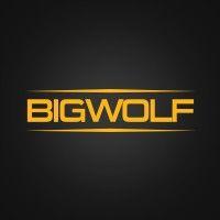 big wolf games logo image