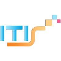 itis pro group llc logo image