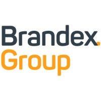 brandex group logo image