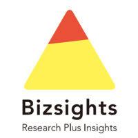 bizsights logo image