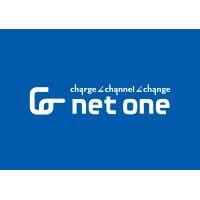 net one systems usa, inc. logo image