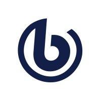 broad group ltd logo image