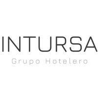 intursa logo image