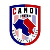 camden & islington united logo image