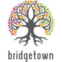 bridgetown ventures logo image