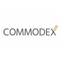 commodex ltd logo image