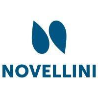 novellini logo image