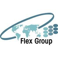 flex group logo image