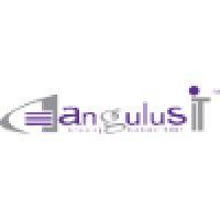 angulus it services private limited logo image