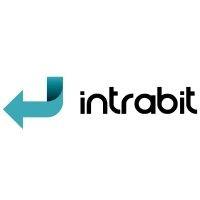 intra-bit logo image