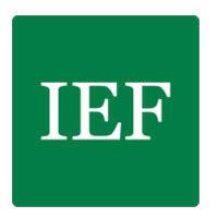 independent economics & finance llp logo image