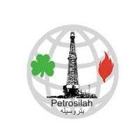 petrosilah/merlon international logo image