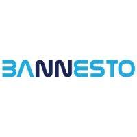 bannesto investments ltd. logo image