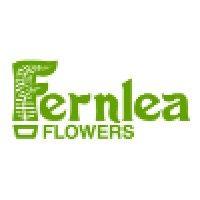 fernlea flowers ltd. logo image