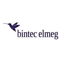 bintec elmeg gmbh logo image