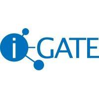 i-gate innovation hub logo image