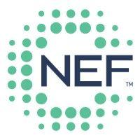 national energy foundation (us) logo image