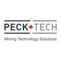 peck tech consulting ltd. logo image