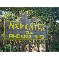 nepenthe/phoenix corporation logo image