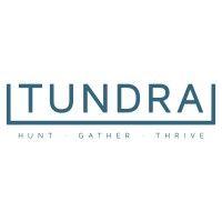 tundra technical solutions logo image