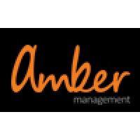 amber management logo image